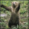 Женский пикап форум