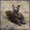 Женский пикап форум