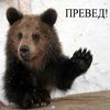 Женский пикап форум