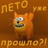 Женский пикап форум